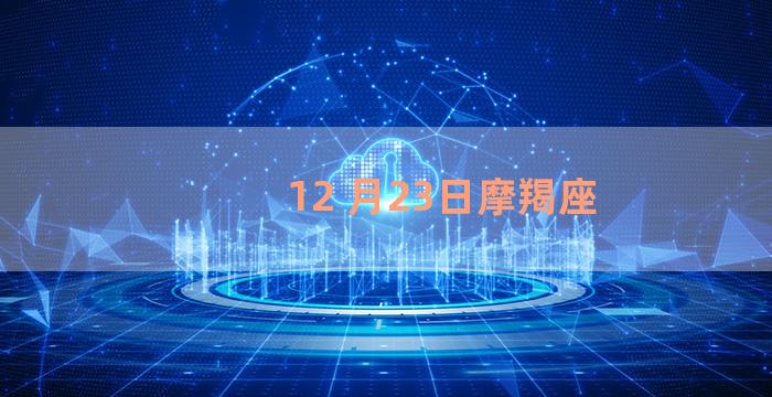 12 月23日摩羯座